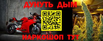 индика Кулебаки