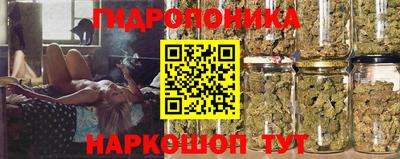 индика Кулебаки