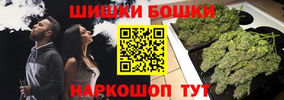 индика Кулебаки