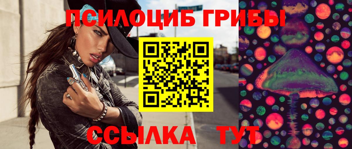 Галлюциногенные грибы прущие грибы  сколько стоит  Владимир  Галлюциногенные грибы MAGIC MUSHROOMS  Вход с VPN 