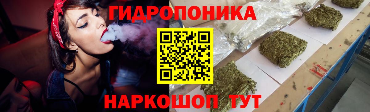 Конопля индика  Шишки марихуана Amnesia  Марихуана конопля  Владимир  Вход с VPN  Бошки марихуана планчик 